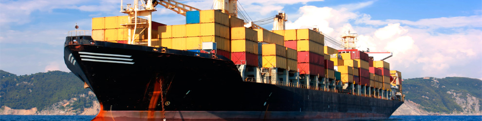 ���� �����������